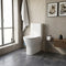 Resort Rimless Closed Couple Toilet