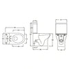 Resort Rimless Closed Couple Toilet