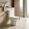 Resort Rimless Open Back Close Couple Toilet