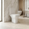 Resort Rimless Open Back Close Couple Toilet