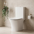 Sullivan Standard Height Close Coupled Square Toilet