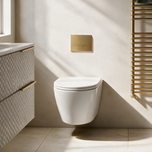 White wall hung toilet with brushed brass dual flush plate