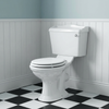 Hartwell Traditional Toilet with Basin and Pedestal Set