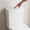 Charlie Comfort Height Toilet with Basin and Pedestal