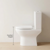 Charlie Comfort Height Toilet with Basin and Pedestal
