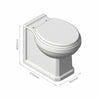 Fitzroy Back to Wall Toilet