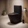 Alessio Black Close-Coupled Toilet