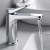 Volta Basin Mixer & Waste