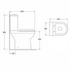 Charlie Comfort Height Toilet with Basin and Pedestal