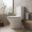 Eva Close Coupled Rimless Toilet