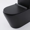 Alessio Black Close-Coupled Toilet