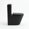 Alessio Black Close-Coupled Toilet