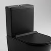 Alessio Black Close-Coupled Toilet