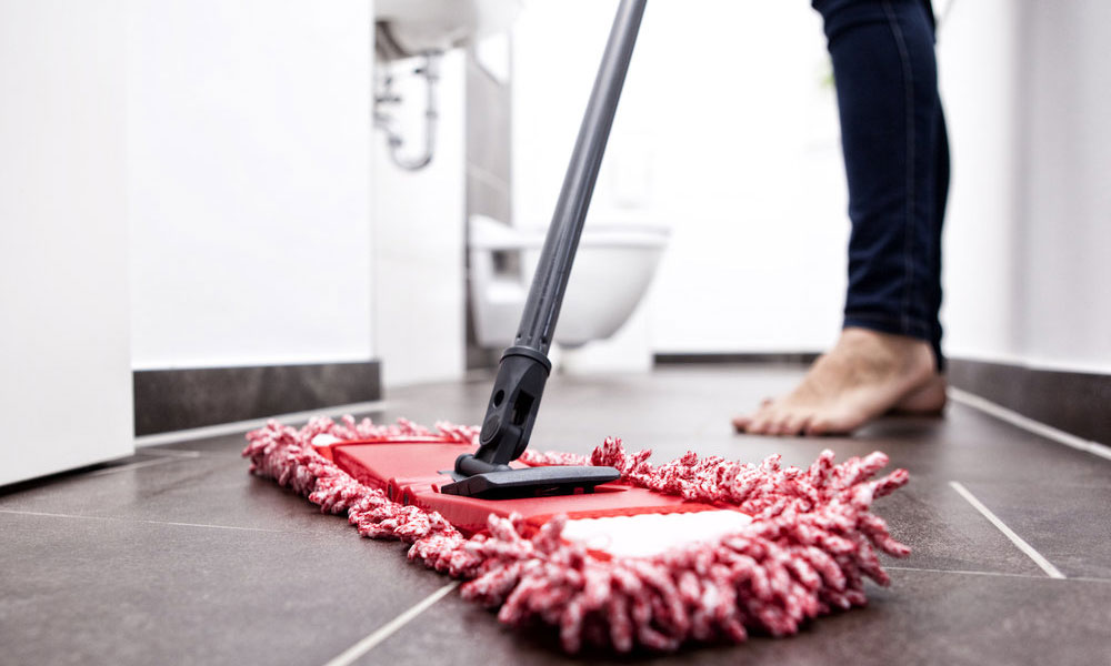What Causes Germs What Causes Germs