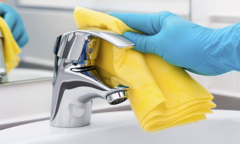 How Long Can These Germs Survive How Long Can These Germs Survive