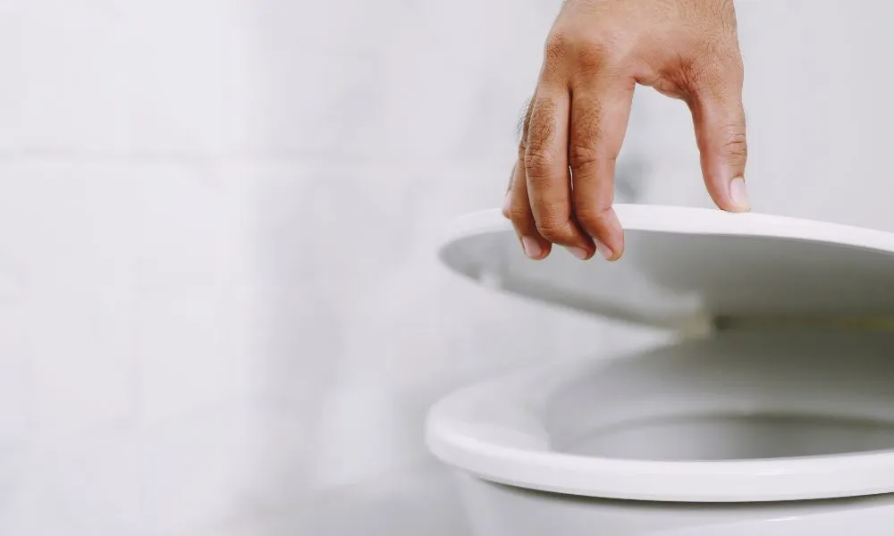 Should You Close the Toilet Lid Before Flushing Bathroom City