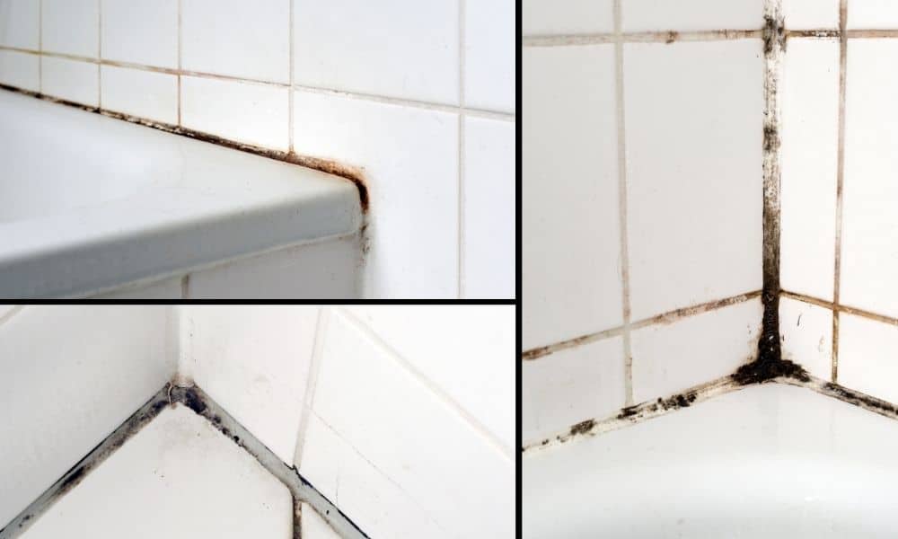 Image-Showing-Instances-Of-Mold-In-The-Bathroom