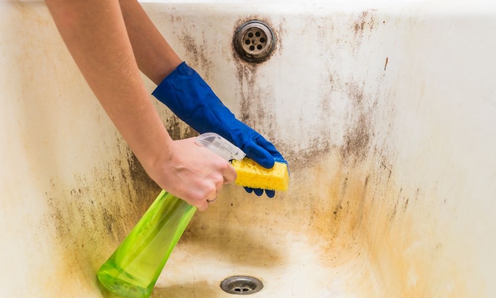 How to Clean Bathtub Mould and Mildew