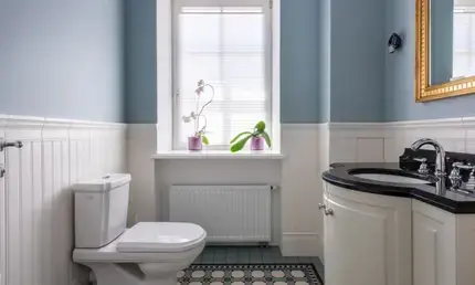 Tips on Finding the Best Toilet For Your Bathroom 