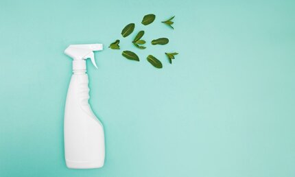 Five Natural Ways To Clean Your Bathroom  