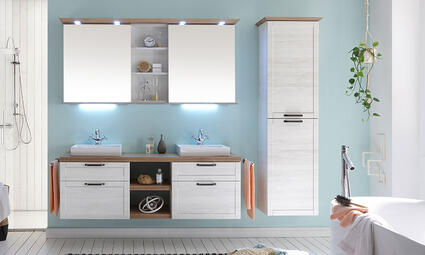 Bathroom Vanity Unit Storage 