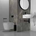 white basin and pedestal basin with toilet