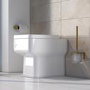 Room Scene View Showing Flushing Toilet Pan with Rimless Design