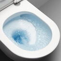 Room Scene View Showing Flushing Toilet Pan with Rimless Design