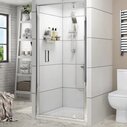 Pivot Shower Door