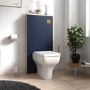 White Back To Wall Toilet With Cabinet