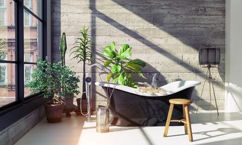 Bathroom with Bathtub And Green Plants Around