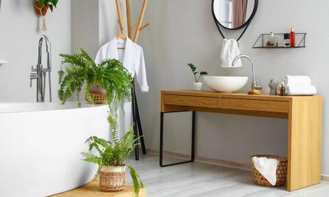 Bathroom Houseplants Added a Bathroom Space