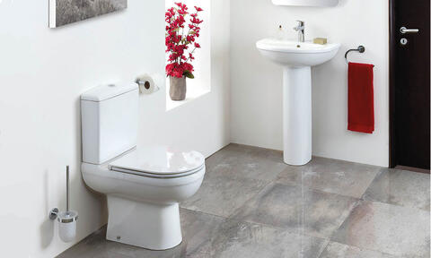 Toilet Buying Guide, How to Choose a Toilet