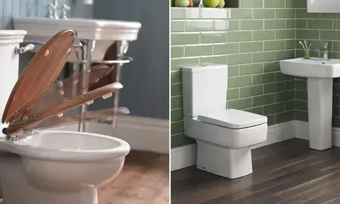 Different Shapes of Toilet Seat: Elongated and Square Toilet Seat
