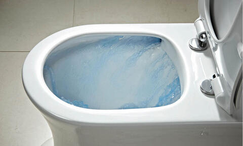 White Rimless Toilet