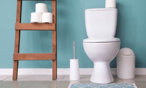 White Toilet Brush Sits Next To A Toilet