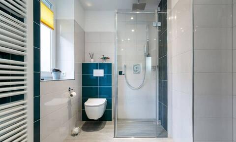 Walk In Shower And Toilet In Small Bathroom