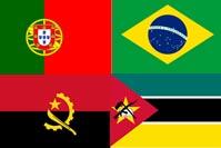 Portugese Flag