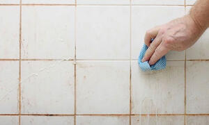 How To Prevent And Get Rid Of Mould In The Bathroom 