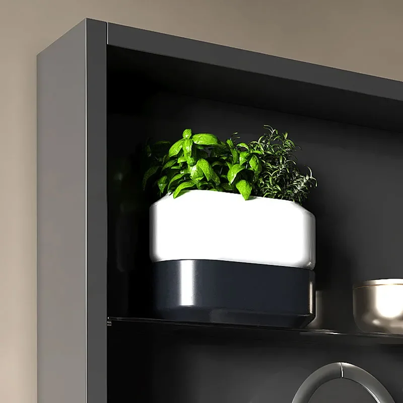 Patello Grey Glass Shelf Wall Storage
