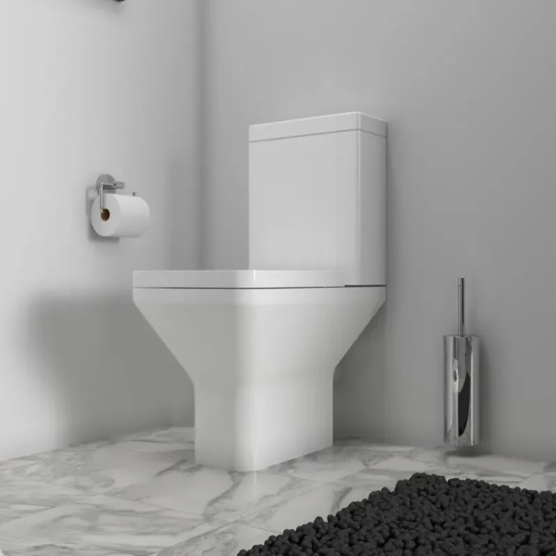 Bathroom Toilet with soft close toilet seat