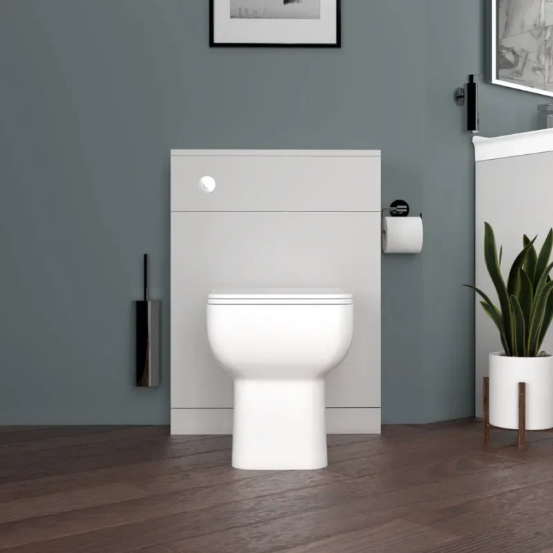 Back to wall Unit with toilet 