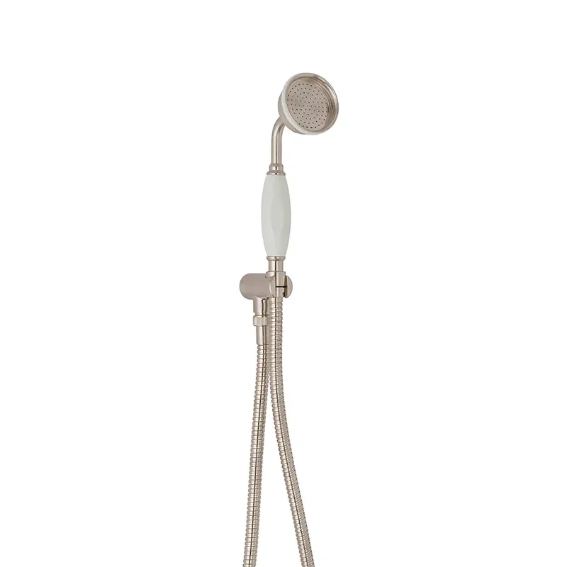 BC Designs victrion brushed nickel wall mounted handshower set