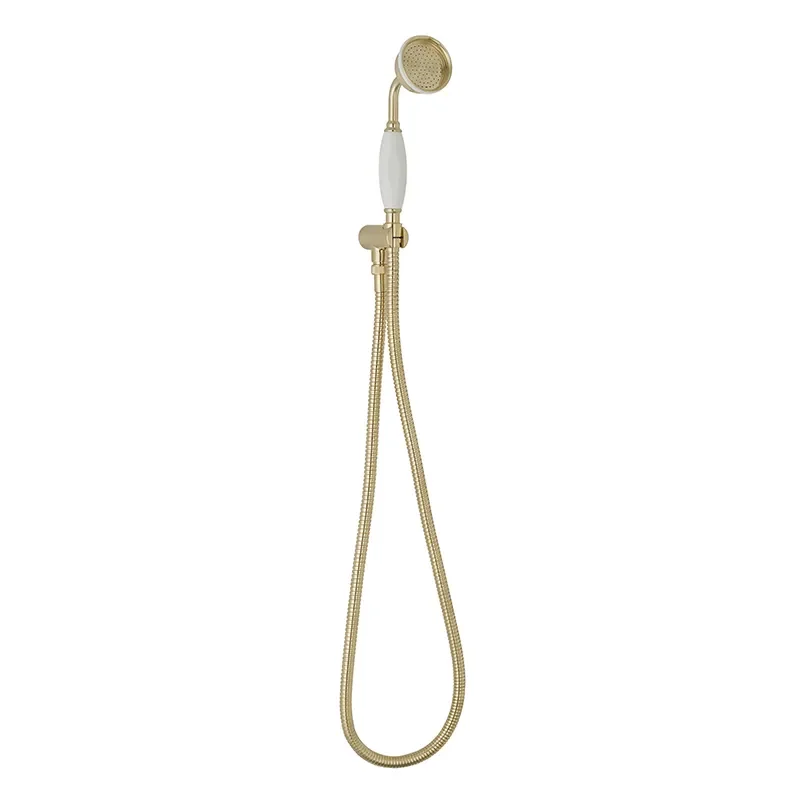 BC Designs victrion brushed gold wall mounted handshower set