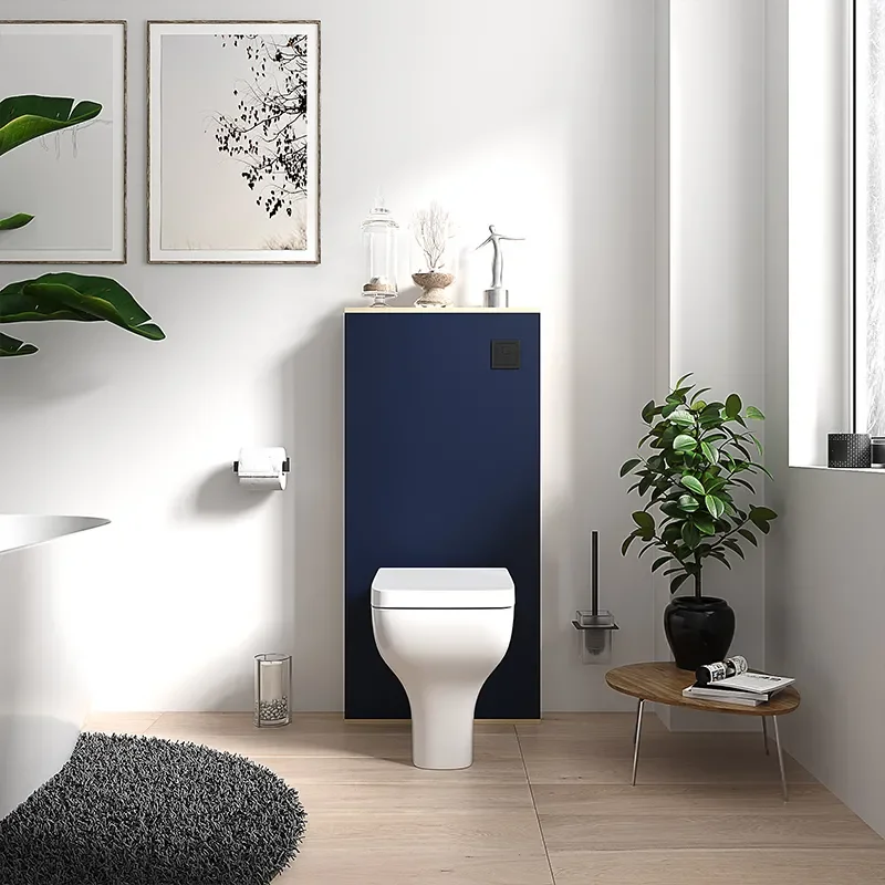 alani navy blue back to wall floor toilet unit