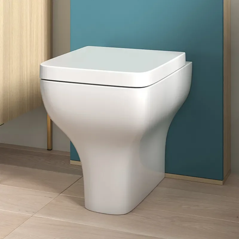 alani 600 cloakroom suite floor toilet petrol blue