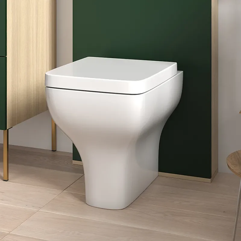 alani 600 cloakroom suite floor toilet green