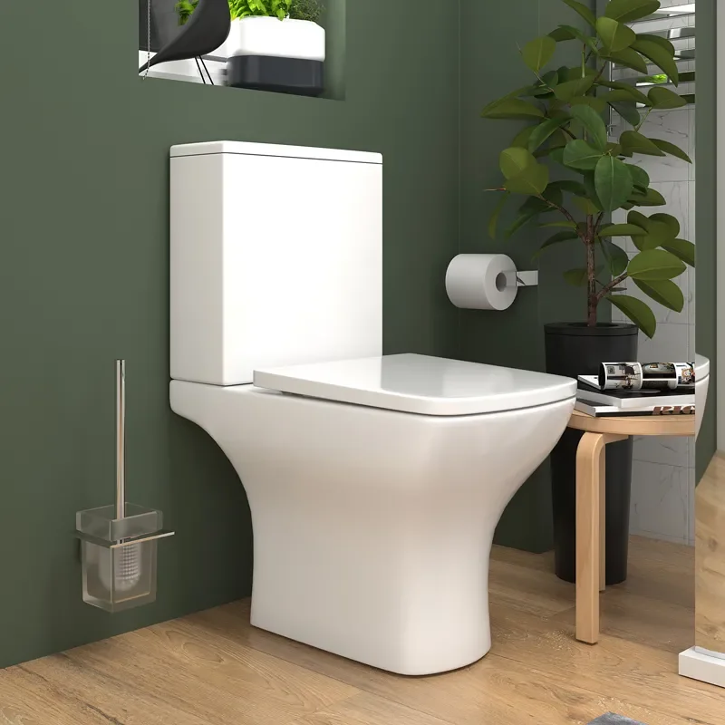 celeste shower suite: 600 white vanity unit and close coupled toilet