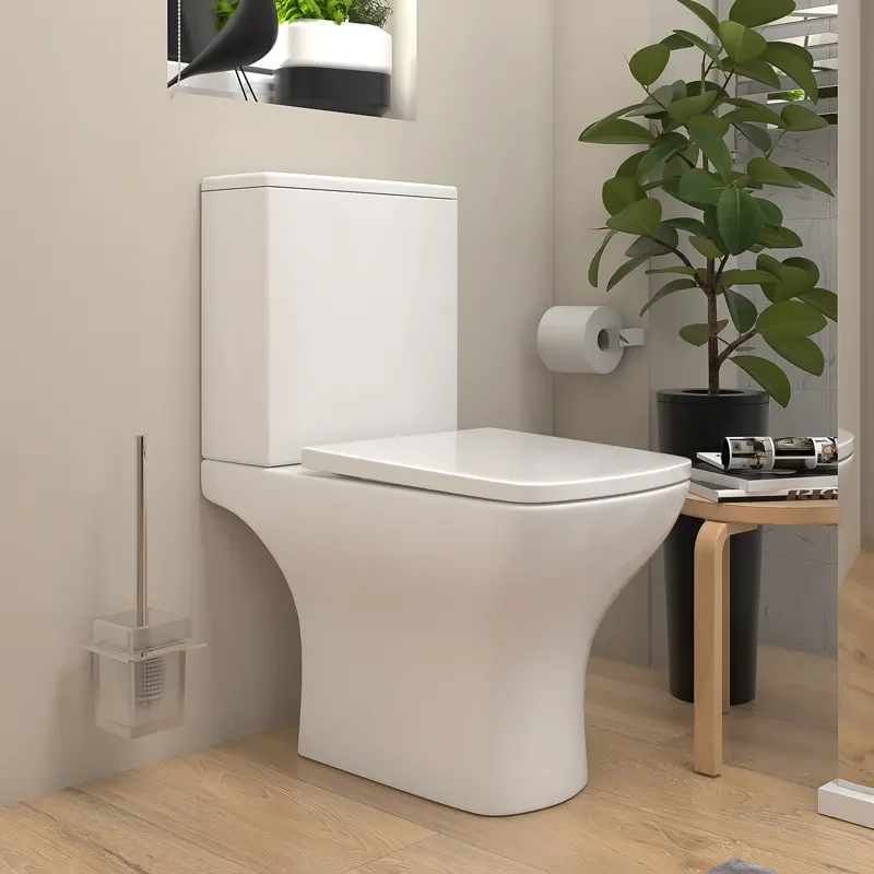 celeste shower suite: 500 white vanity unit and close coupled toilet