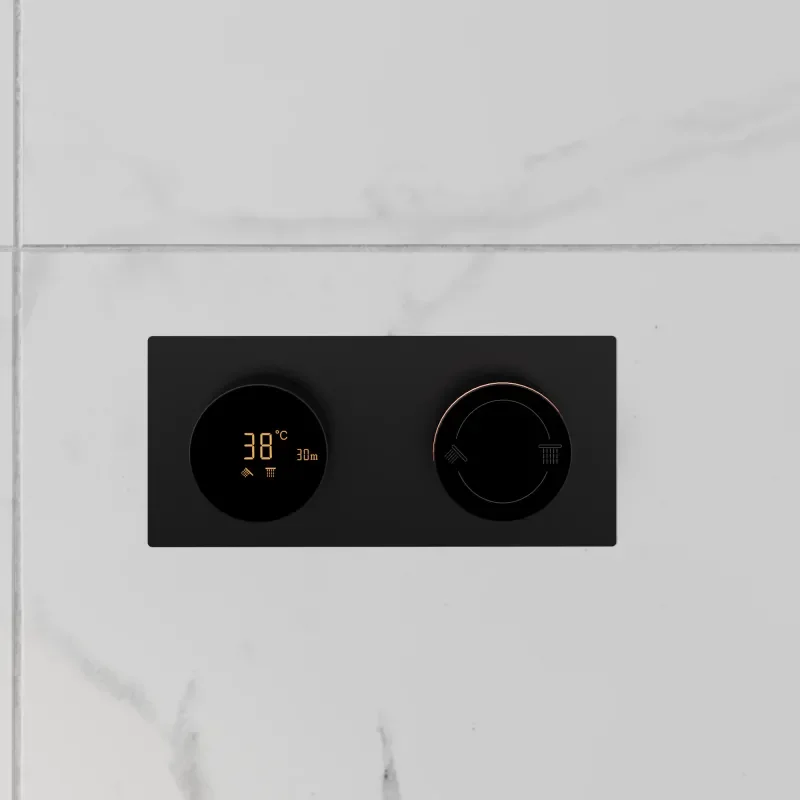 Cyber Rectangular black thermostatic shower valve dual